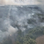 У Харківській області дві доби гасять лісову пожежу