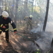 У Харківській області понад чотири доби гасили лісову пожежу