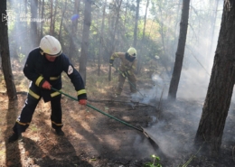 У ДСНС показали наслідки ранкового обстрілу селища на Харківщині, де загинула жінка (Фото)