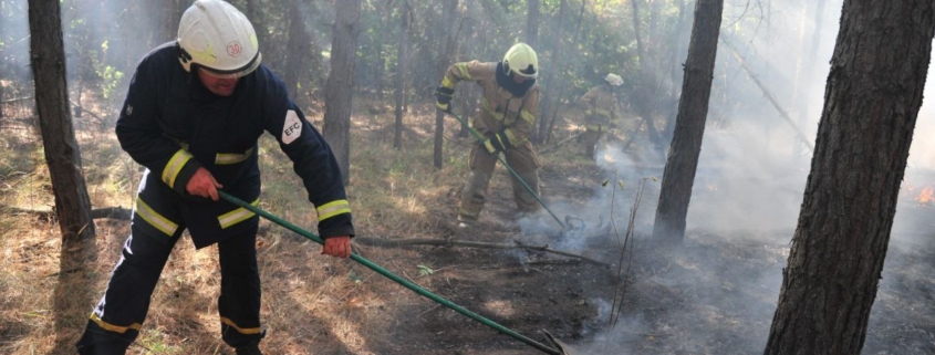 У Харківській області понад чотири доби гасили лісову пожежу