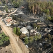 Лісову пожежу біля села Студенок Харківської області загасили