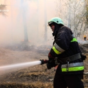 Під Харковом вирує лісова пожежа