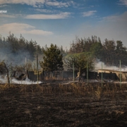 Пожежа під Харковом: вогонь перекинувся на приватні домоволодіння