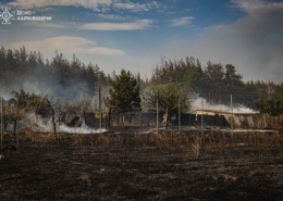 Пожежа під Харковом: вогонь перекинувся на приватні домоволодіння