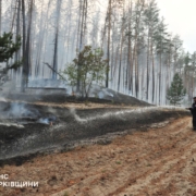 У Харківській області третю добу гасять пожежу в замінованому лісі