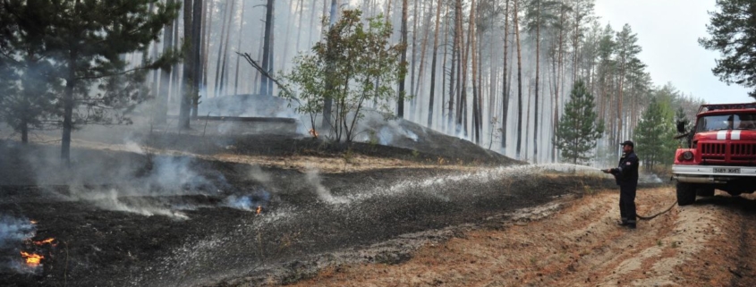 У Харківській області третю добу гасять пожежу в замінованому лісі