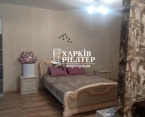 1-кімнатна квартира, Хол.Гора, ЖК Профсоюз