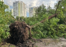У Харкові військовий стріляв з автомата біля житлових будинків і підірвав гранату: версія поліції