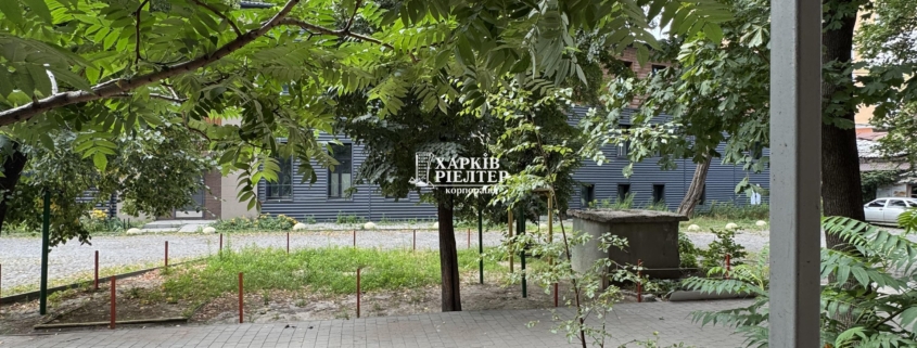 1-кімнатна гостинка, Центр