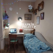 1-кімнатна гостинка, Хол.Гора