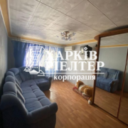 1-кімнатна квартира, Красный луч