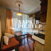 1-кімнатна квартира, Залютино