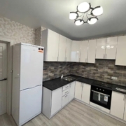 2-кімнатна квартира, Салтовка,                                            
                            ЖК Птичка