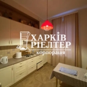 4-кімнатна квартира, Центр