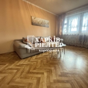 4-кімнатна квартира, Роганский