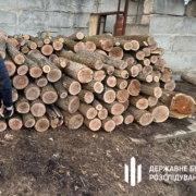 На Харківщині зрубали дерев на 12 мільйонів гривень і продали їх місцевим жителям