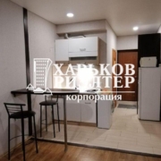 1-кімнатна квартира, ЮВ и ЦР,
ЖК Панасовская слобода