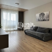 1-кімнатна квартира, Павловка,                                            
                            ЖК Доминион