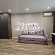 1-кімнатна квартира, Салтовка,                                            
                            ЖК Журавли