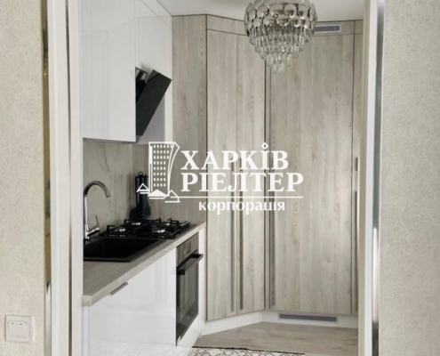 1-кімнатна квартира, Павловка,                                                                         ЖК Доминион