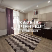 1-кімнатна квартира, Хол.Гора, ЖК Аврамовская