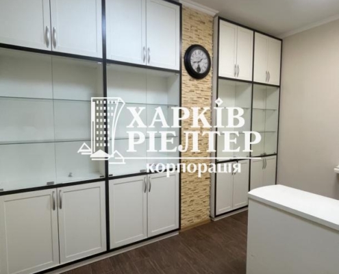 Оренда                     1-кімнатна квартира, Гагарина (нач.)