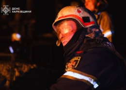 Цього року в Харкові на зоопарк можуть витратити 400 мільйонів гривень – мер підтримує ідею
