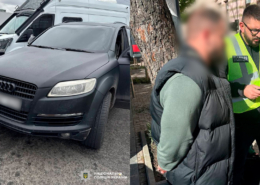 На Харківщині зрубали дерев на 12 мільйонів гривень і продали їх місцевим жителям