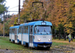 Цього року в Харкові на зоопарк можуть витратити 400 мільйонів гривень – мер підтримує ідею