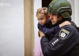 На Харківщині зрубали дерев на 12 мільйонів гривень і продали їх місцевим жителям