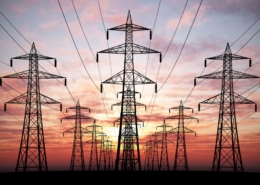 На Харківщині зрубали дерев на 12 мільйонів гривень і продали їх місцевим жителям