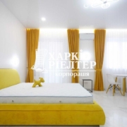 1-кімнатна квартира, Центр,                                            
                            ЖК Мироносицкая