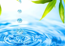 На Харківщині зрубали дерев на 12 мільйонів гривень і продали їх місцевим жителям