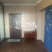 1-кімнатна гостинка, Аэропорт