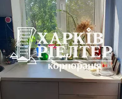 1-кімнатна гостинка, Харьковский