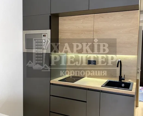 Оренда                     2-кімнатна квартира, Гагарина (нач.),                                                                         ЖК Левада, участок 2