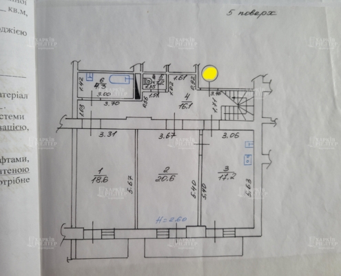 5-кімнатна гостинка, П.Поле