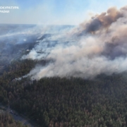 У Харківській області рибалка викинув недопалок і спалив 350 гектарів лісу
