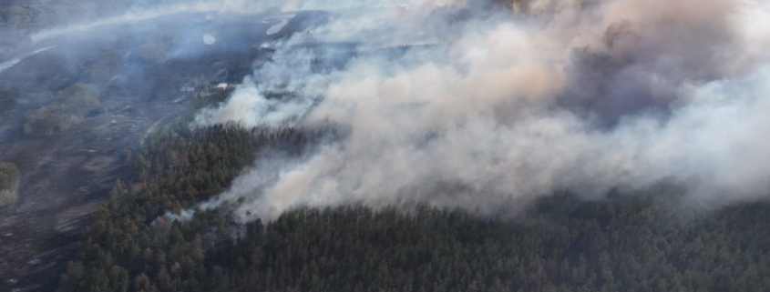 У Харківській області рибалка викинув недопалок і спалив 350 гектарів лісу