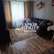 2-кімнатна гостинка, Аэропорт