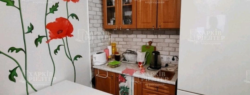 1-кімнатна гостинка, Шишковка
